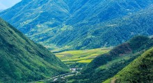 VIETNAM TOURS